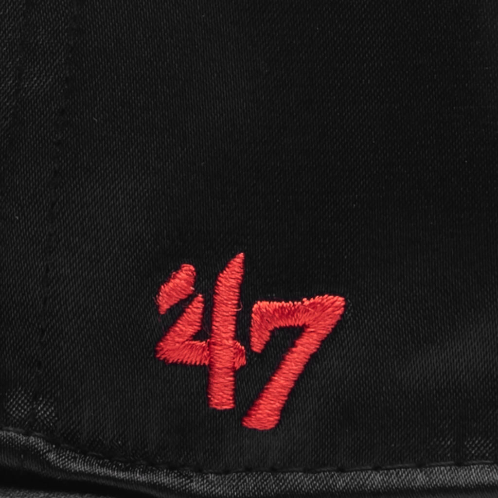 47 Hitch - Toronto Raptors