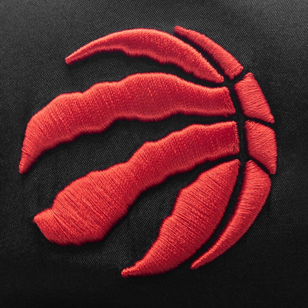 47 Hitch - Toronto Raptors