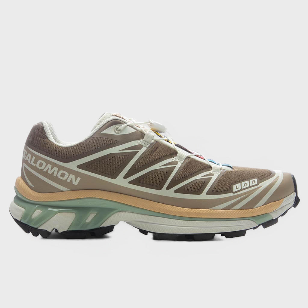 XT-6 - Coyote Brown/Safari/Sahara