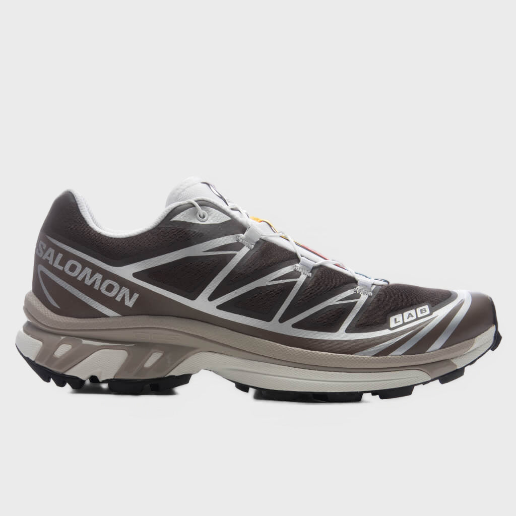 XT-6 - Earth Brown/Walnut/Footwear Silver