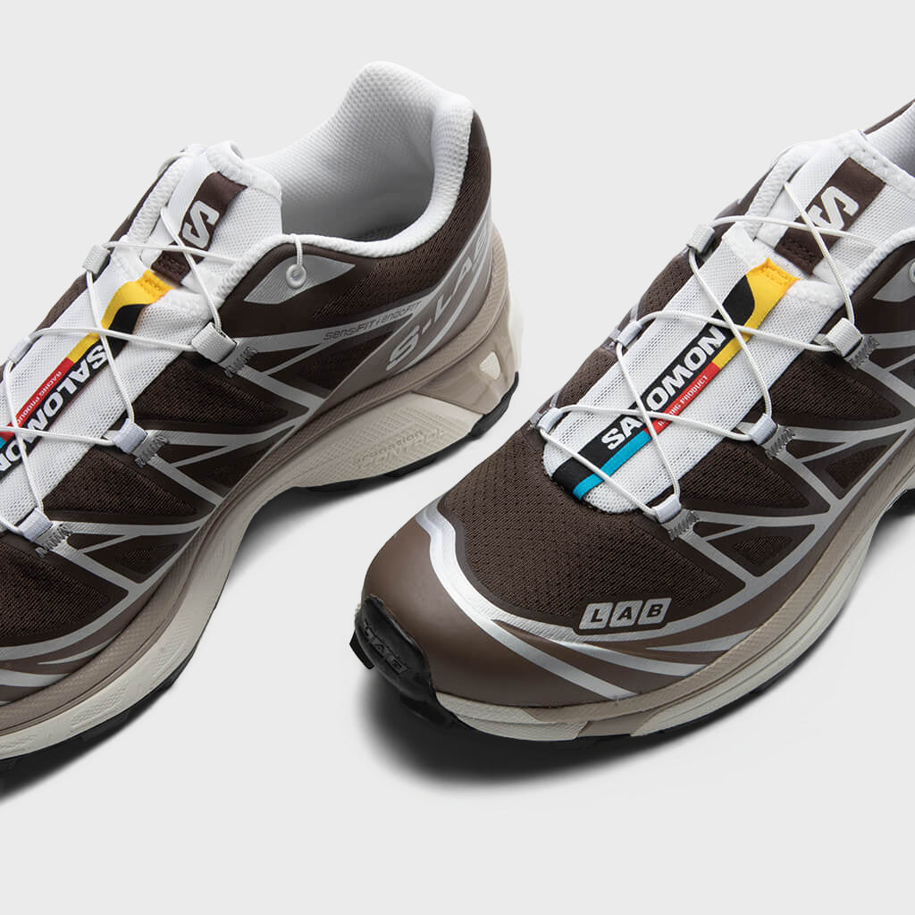 XT-6 - Earth Brown/Walnut/Footwear Silver