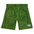 Shorts - AOP Grass