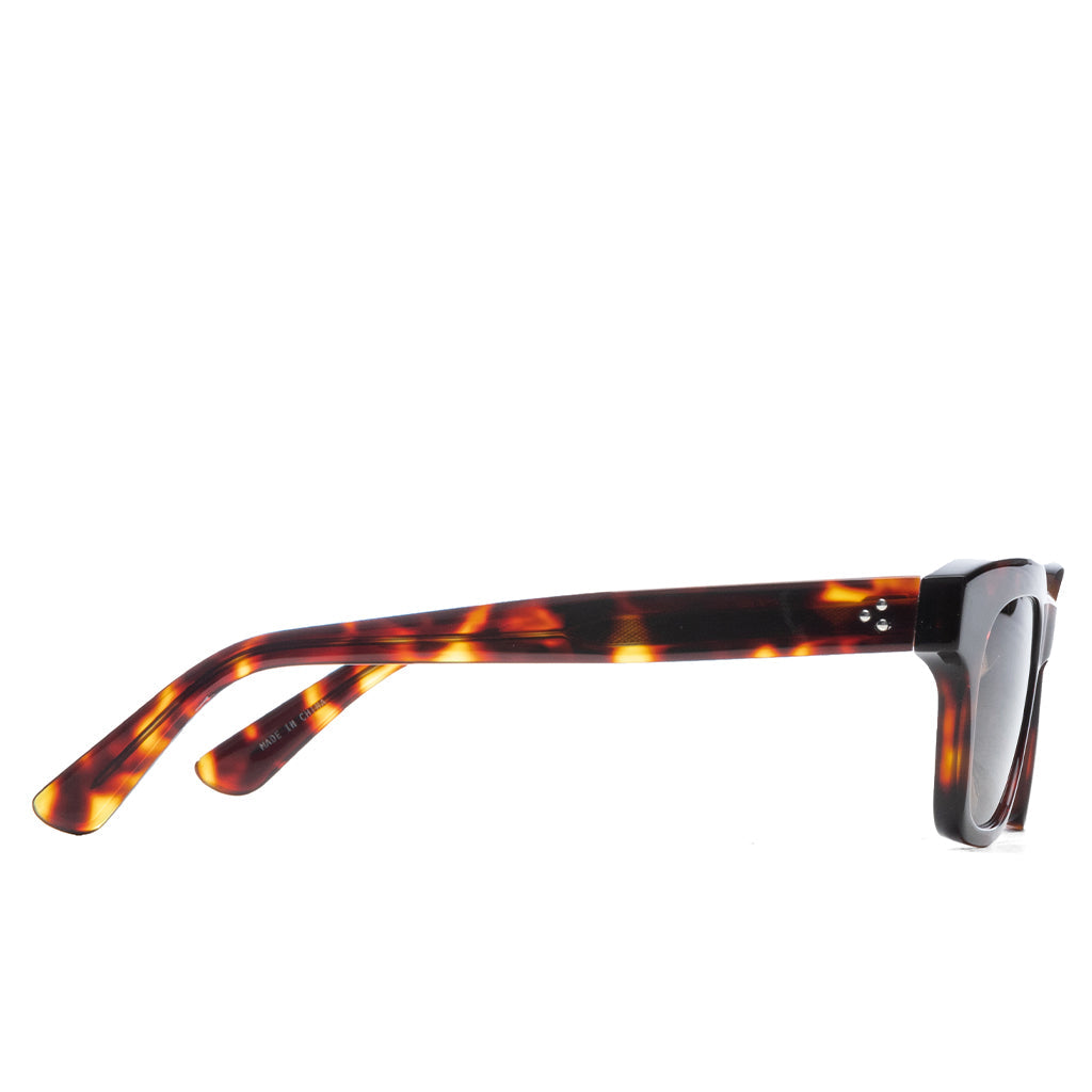 Analogue - Tortoise/Brown