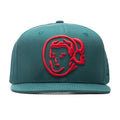 BB Classic Astro Snapback - Bayberry