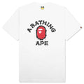 Brush College Tee - White