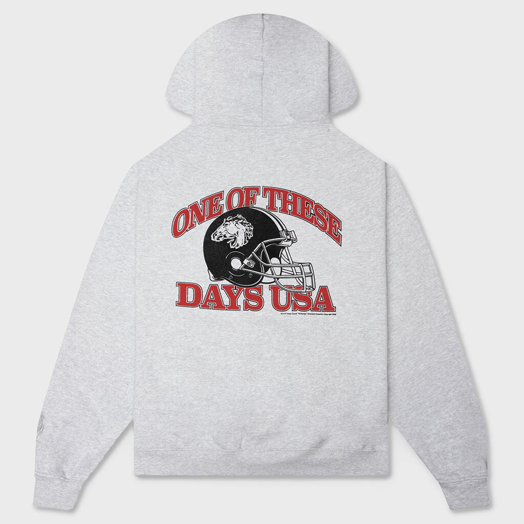 Days USA Zip Up Hoodie - Heather Grey