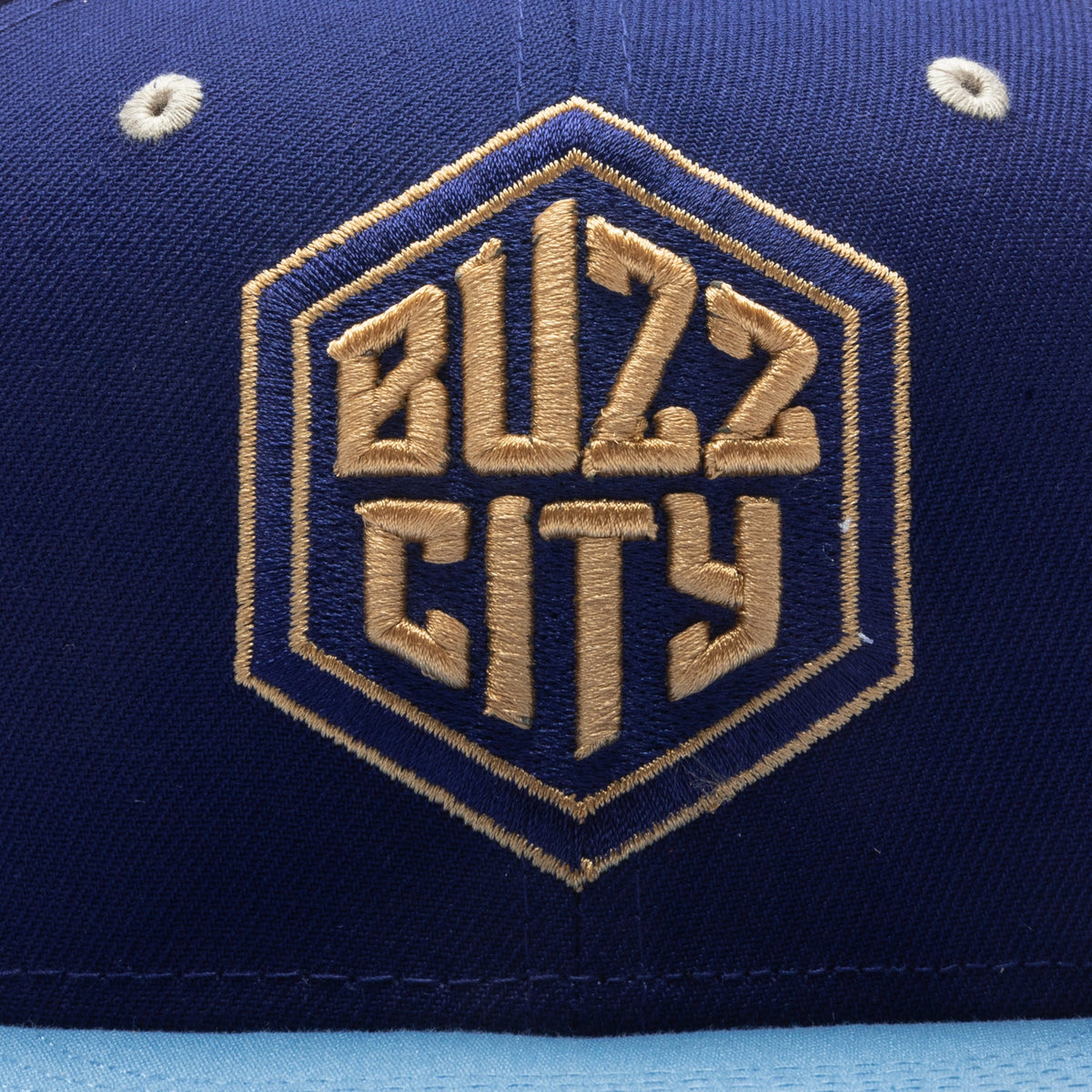 59FIFTY Fitted - Charlotte Hornets