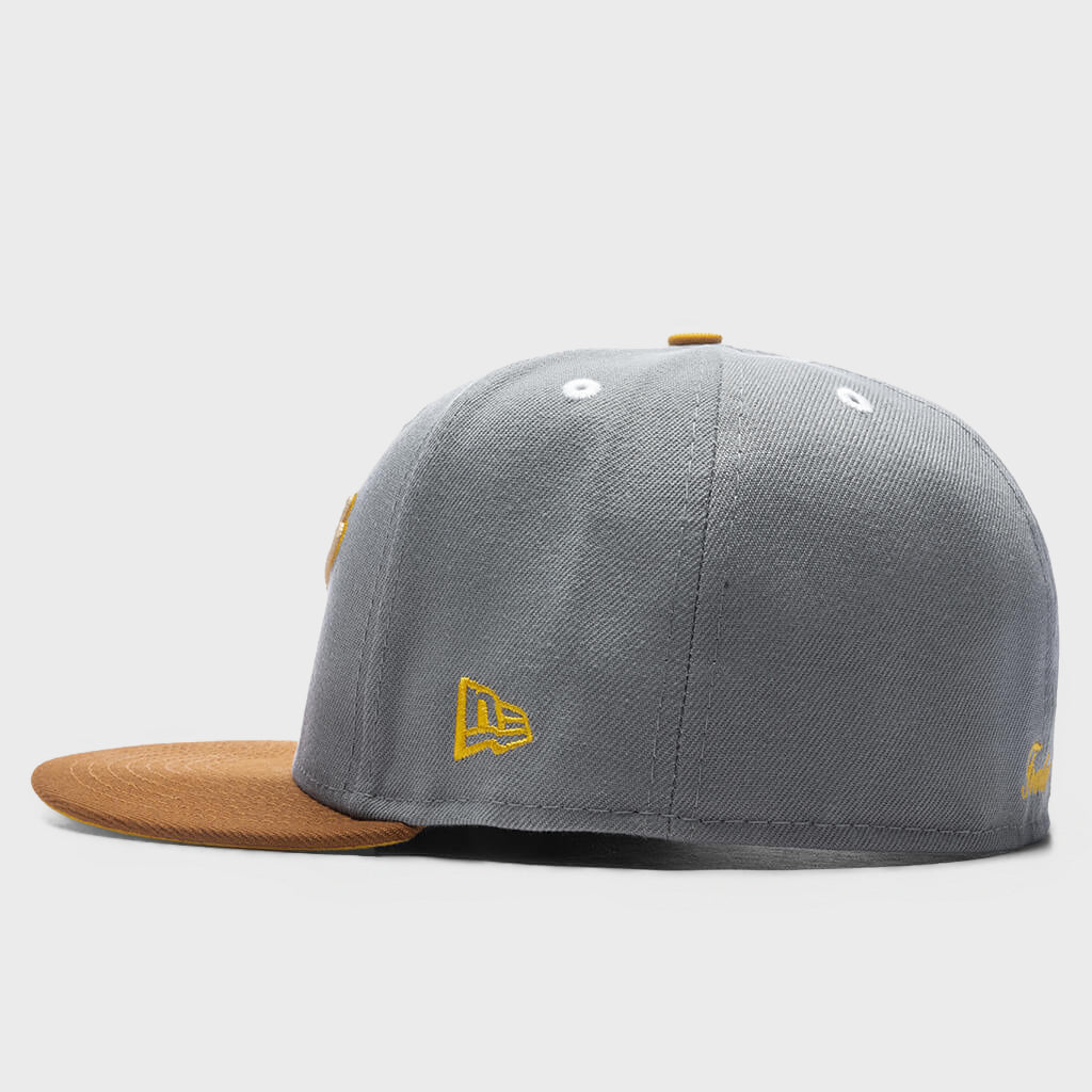 Fossils Everywhere 59FIFTY Fitted - Gray/Brown