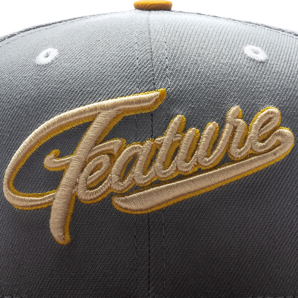 Fossils Everywhere 59FIFTY Fitted - Gray/Brown