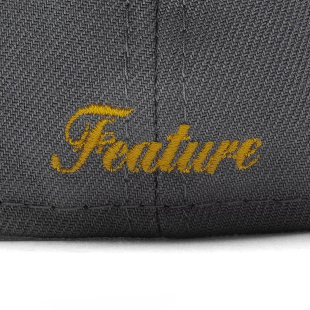 Fossils Everywhere 59FIFTY Fitted - Gray/Brown