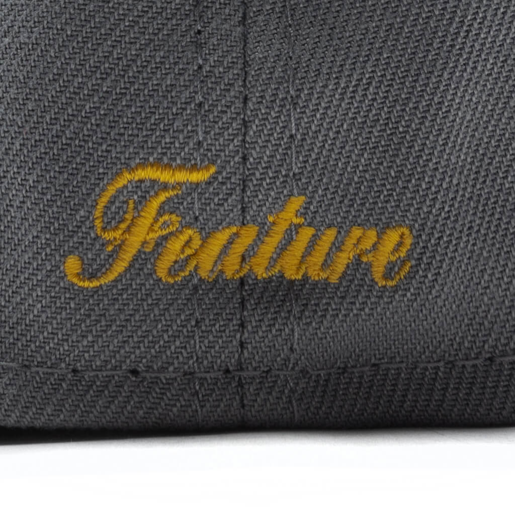 F Logo Fossils Everywhere 59FIFTY Fitted - Gray/Brown