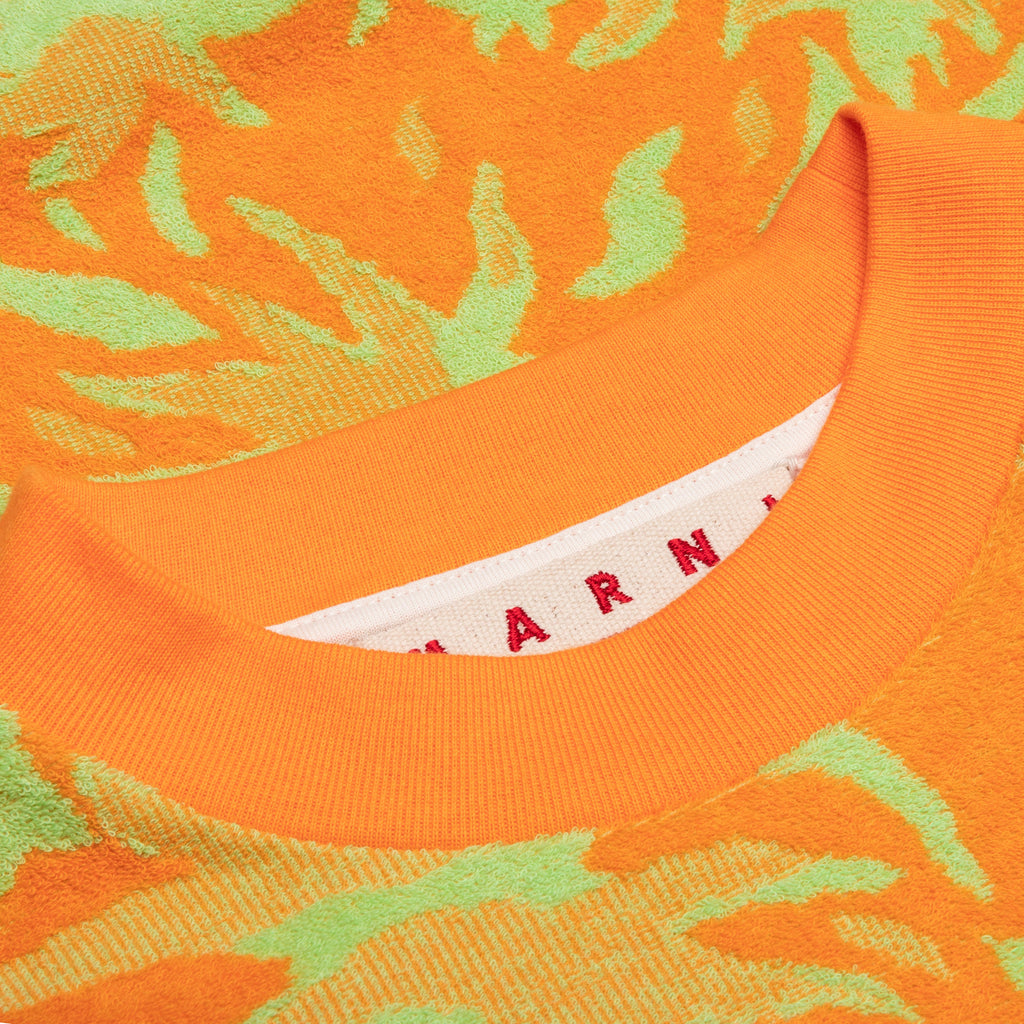 Jacquard T-Shirt - Carrot