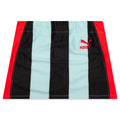 Women's Striped Mini Skirt - Blue