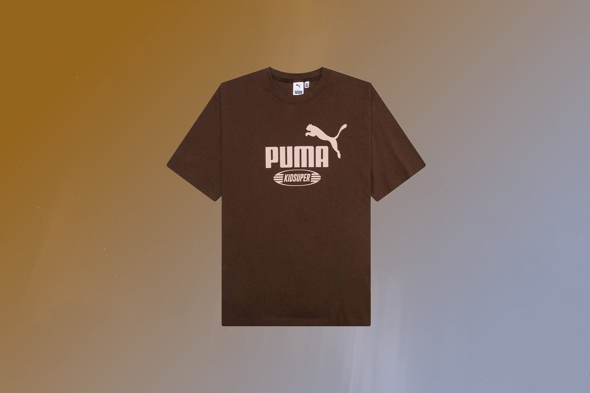 Graphic Tee - Chestnut Brown