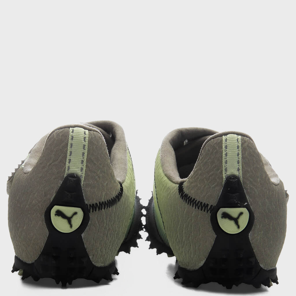 RPT-2 Biology - Apple Spritz/Velvet Moss