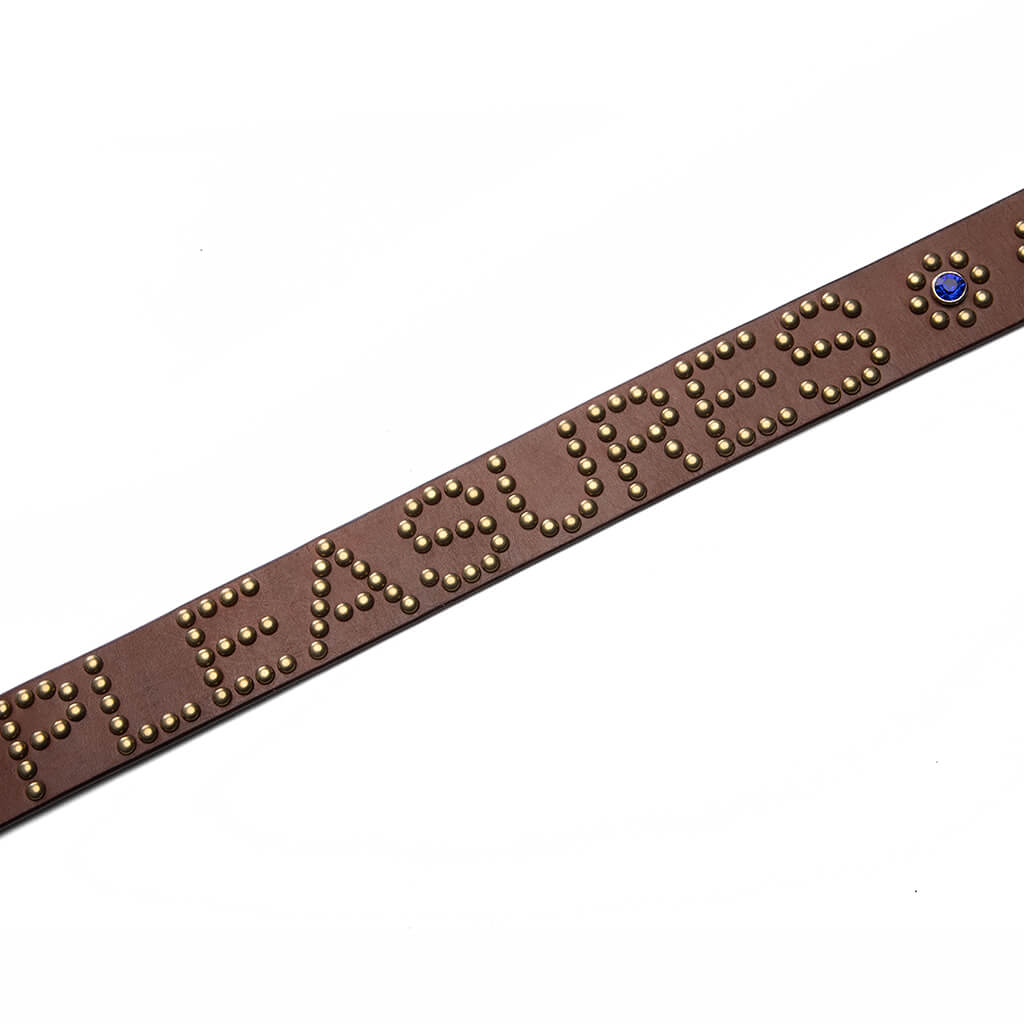 Studded Belt - Brown