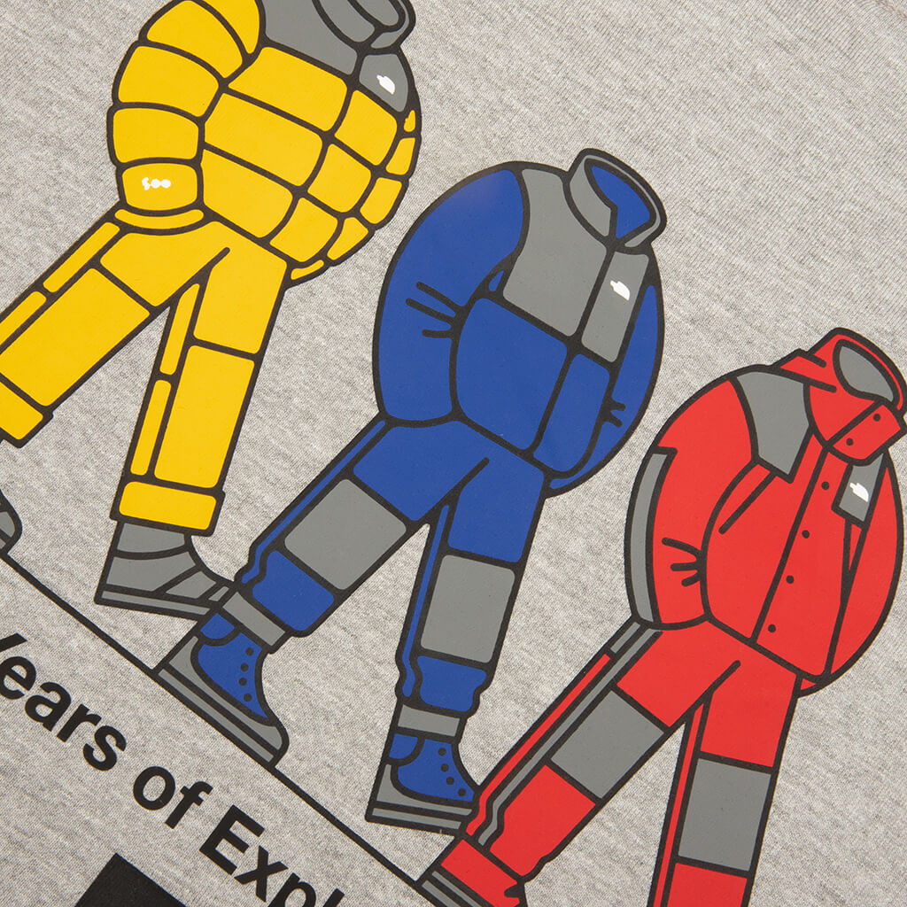 TNF Celebration Relaxed S/S Tee - TNF Pale Grey Heather