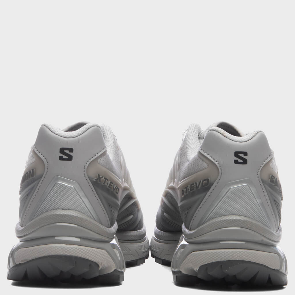 XT-EVO - Alloy/Castlerock/Ftw Silver