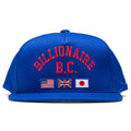 BC Snapback Hat - Surf The Web