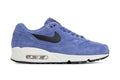 Air Max 90/1 - Purple Basalt/Anthracite/Summit White