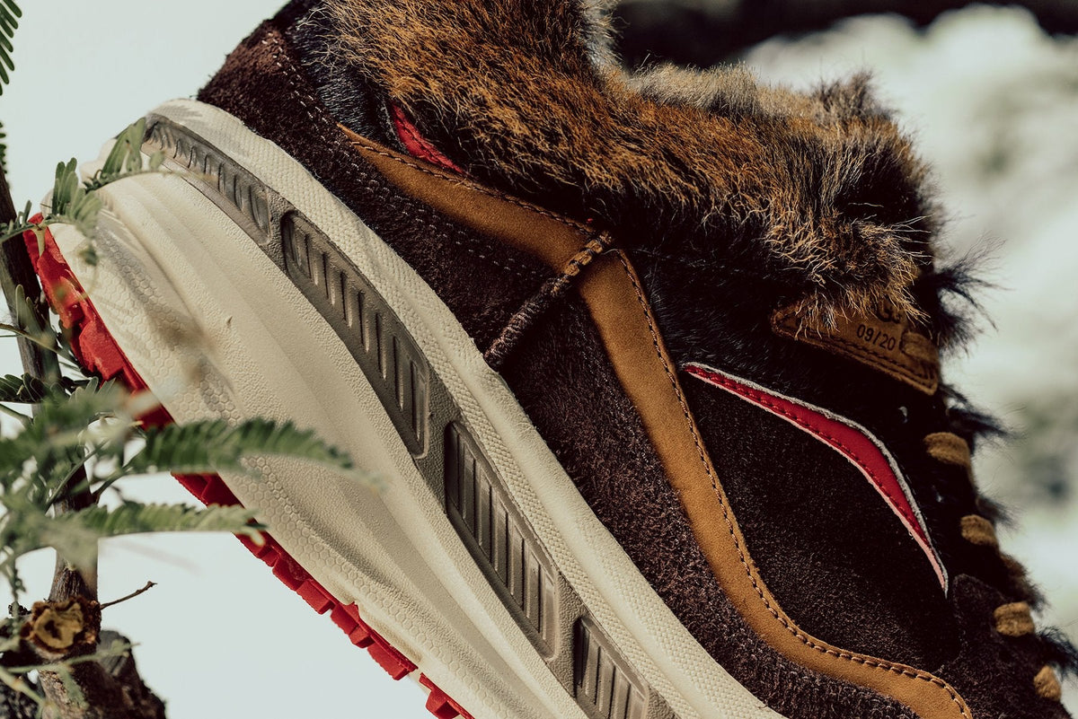 CA805 x Bears - Brown