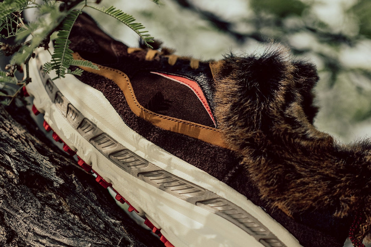CA805 x Bears - Brown