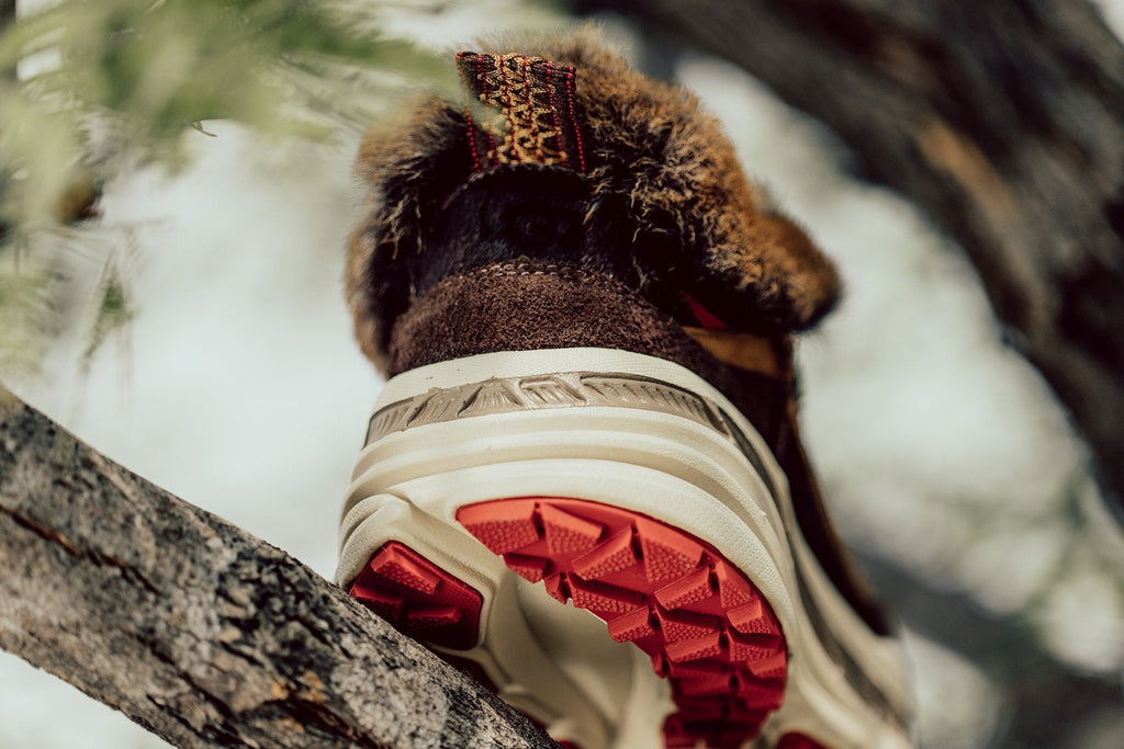 CA805 x Bears - Brown