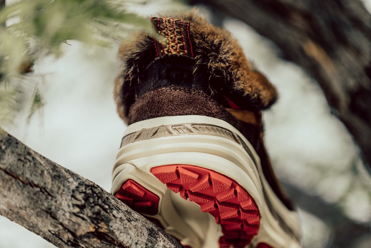 CA805 x Bears - Brown