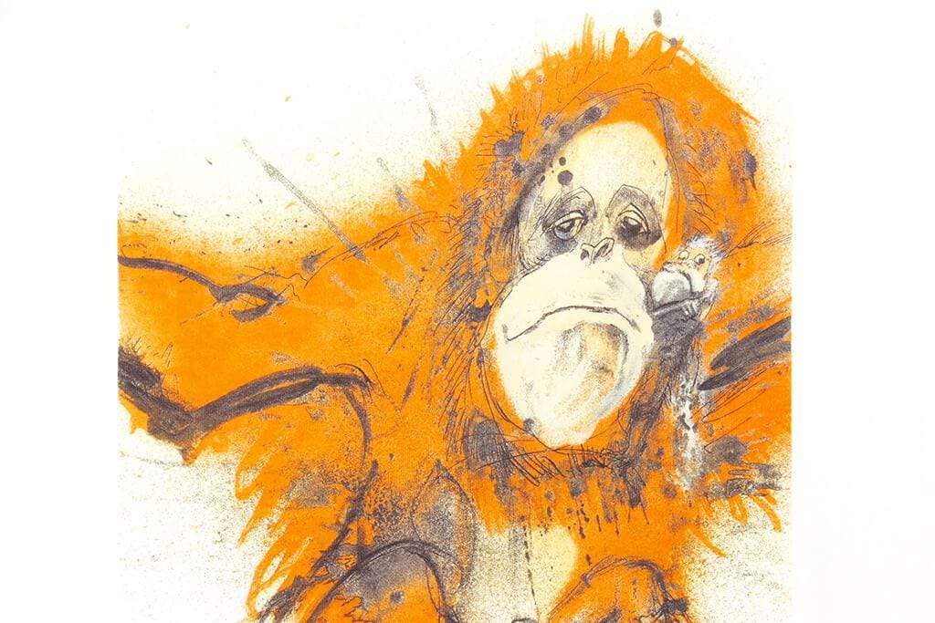 Orangutan Tee - White